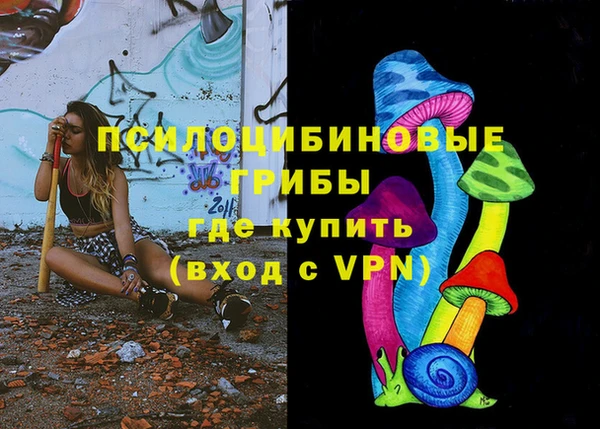 герыч Алексин