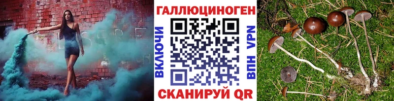 MEGA зеркало Артёмовский Галлюциногенные грибы Psilocybine cubensis наркошоп